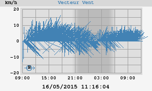 Wind Vector