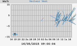 Wind Vector