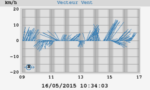 Wind Vector