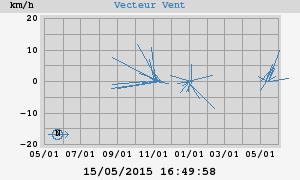 Wind Vector